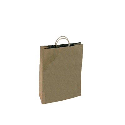 Brown Paper Carrier Bags, with Twist Handles 320mm x 420mm