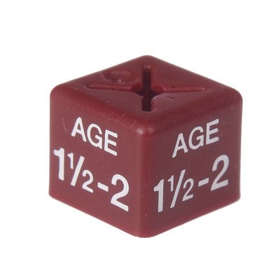 Size Cube Age 1.5/2 - Maroon