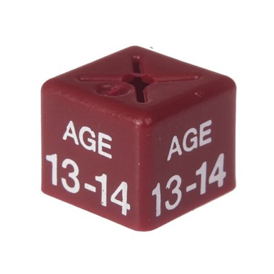 Size Cube Age 13/14 - Maroon